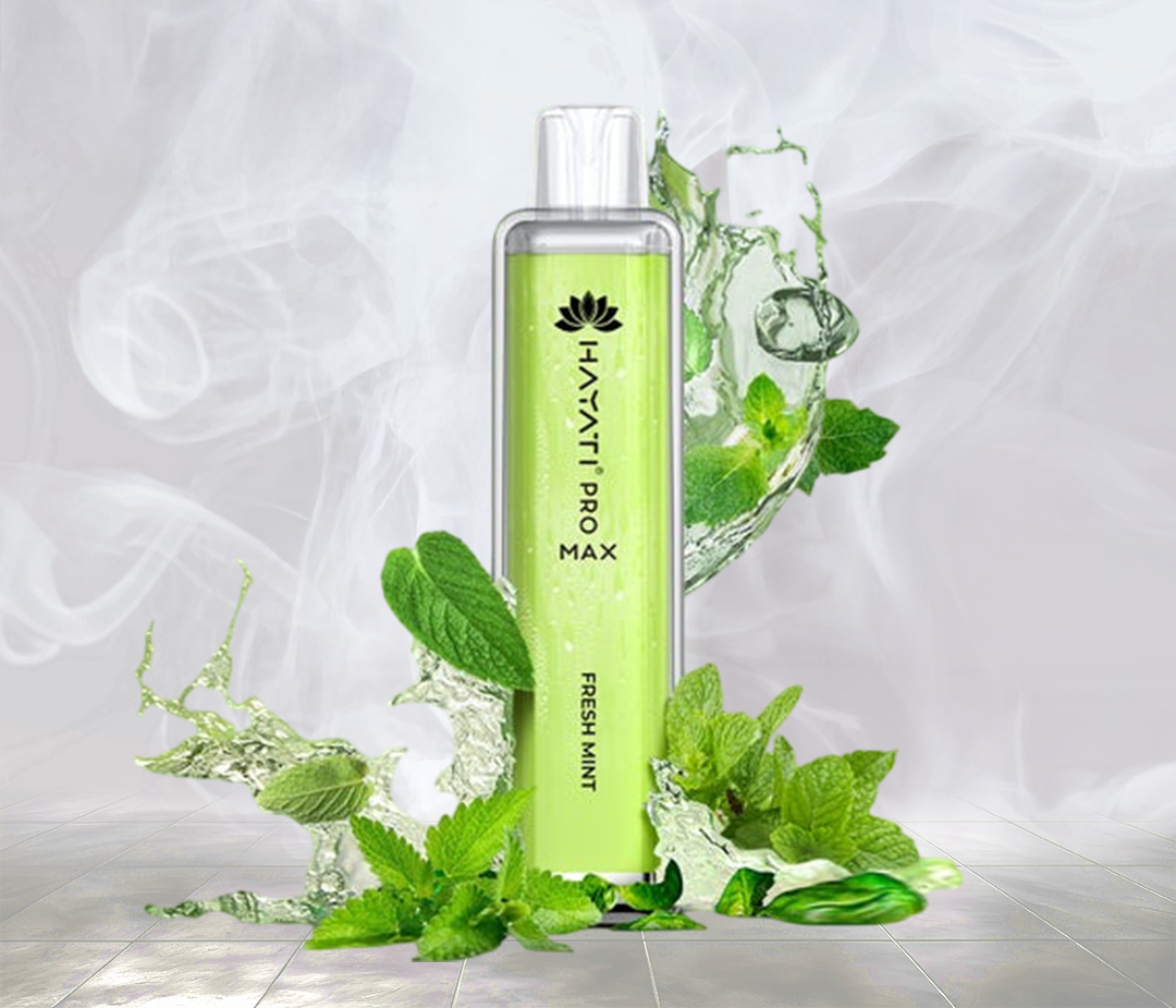 HAYATI PRO MAX 4000 PUFFS