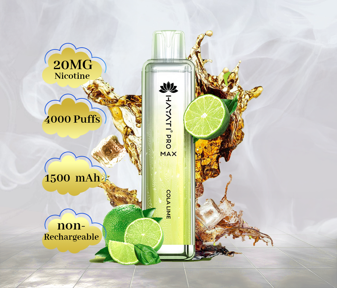 HAYATI PRO MAX 4000 PUFFS