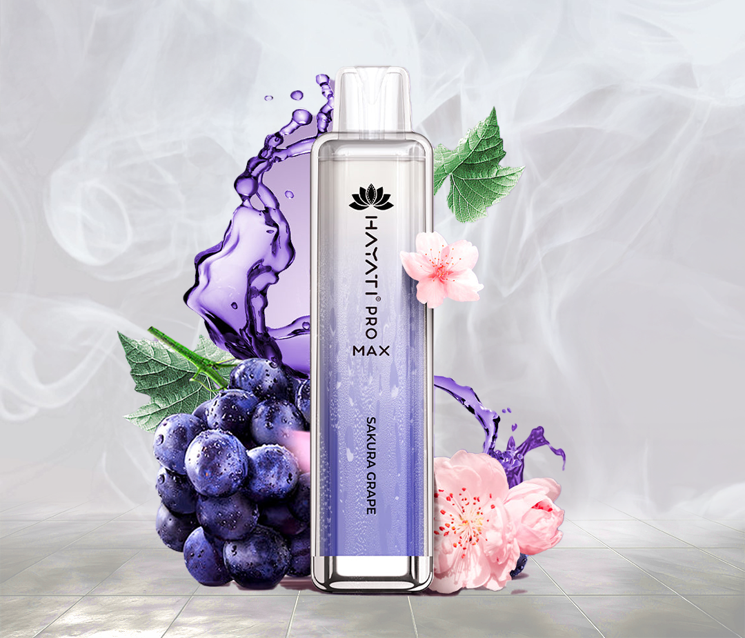 HAYATI PRO MAX 4000 PUFFS