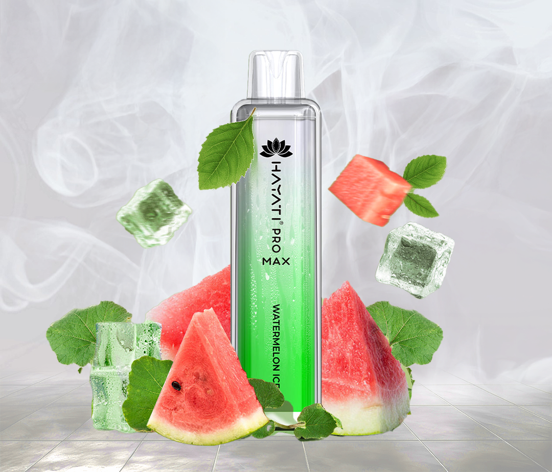 HAYATI PRO MAX 4000 PUFFS